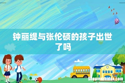钟丽缇与张伦硕的孩子出世了吗