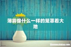 薄雾像什么一样的笼罩着大地