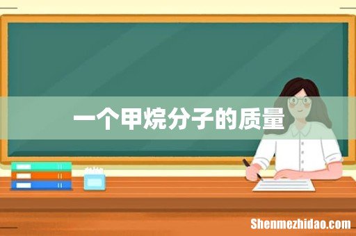 一个甲烷分子的质量