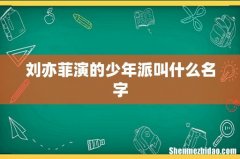 刘亦菲演的少年派叫什么名字