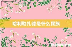 哈利勒扎德是什么民族