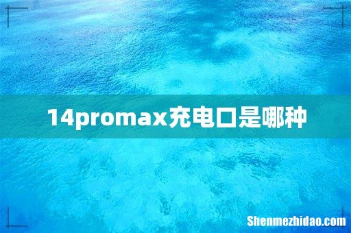 14promax充电口是哪种