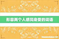 形容两个人感同身受的词语