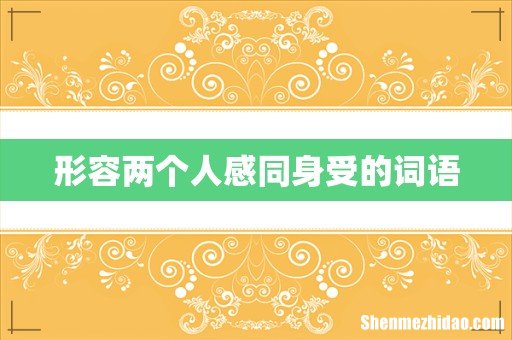 形容两个人感同身受的词语