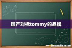 国产对标tommy的品牌