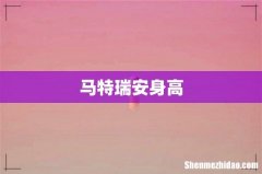 马特瑞安身高