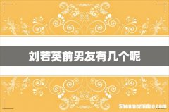 刘若英前男友有几个呢