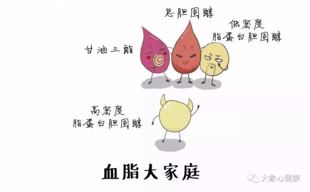 血液多久变成血清 血液多久变成血清蛋白质