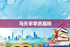 马天宇学历高吗