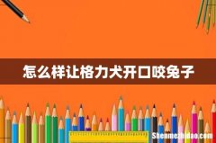 怎么样让格力犬开口咬兔子