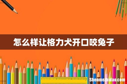 怎么样让格力犬开口咬兔子