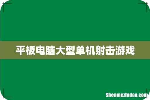 平板电脑大型单机射击游戏