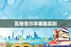 瓦格吉尔羊哪能买到