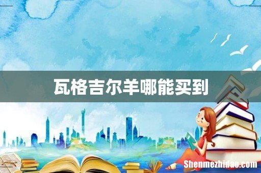 瓦格吉尔羊哪能买到