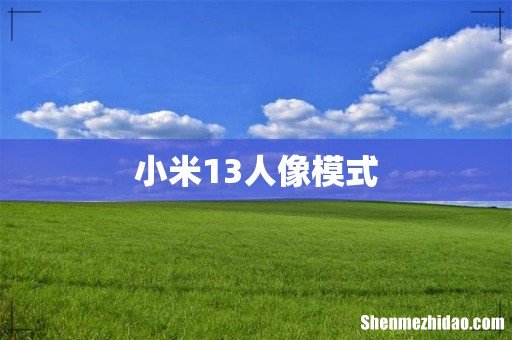 小米13人像模式