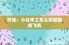 折纸：小壮手工怎么折回旋纸飞机