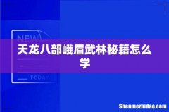 天龙八部峨眉武林秘籍怎么学