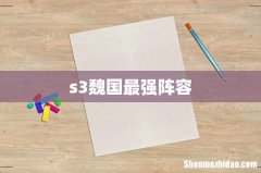 s3魏国最强阵容