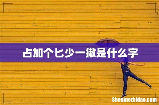 占加个匕少一撇是什么字