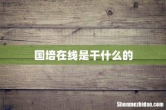国培在线是干什么的