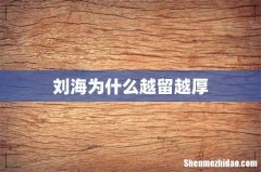 刘海为什么越留越厚