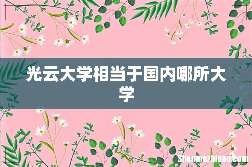 光云大学相当于国内哪所大学
