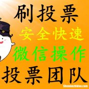 人工投票真的安全么价格多少钱一票