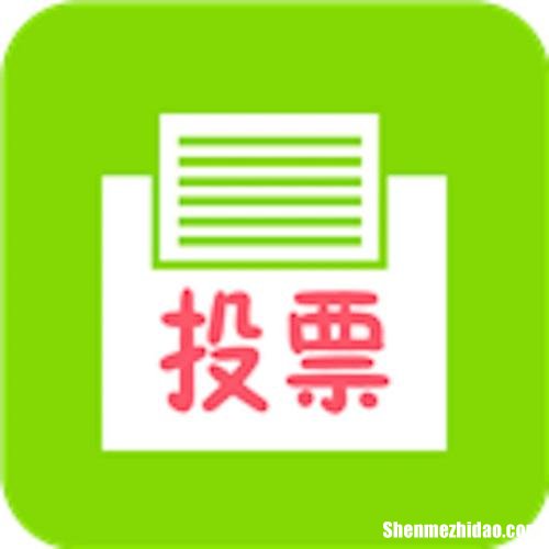 人工投票真的安全么价格多少钱一票