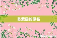 陈紫函的原名