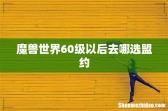 魔兽世界60级以后去哪选盟约