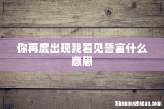 你再度出现我看见誓言什么意思