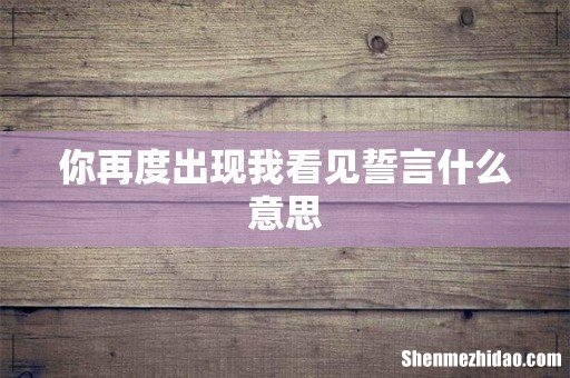 你再度出现我看见誓言什么意思