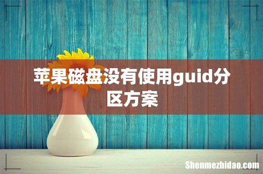 苹果磁盘没有使用guid分区方案