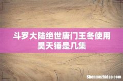 斗罗大陆绝世唐门王冬使用昊天锤是几集