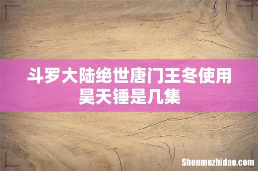 斗罗大陆绝世唐门王冬使用昊天锤是几集