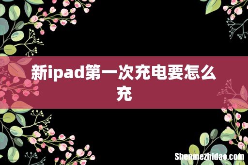 新ipad第一次充电要怎么充