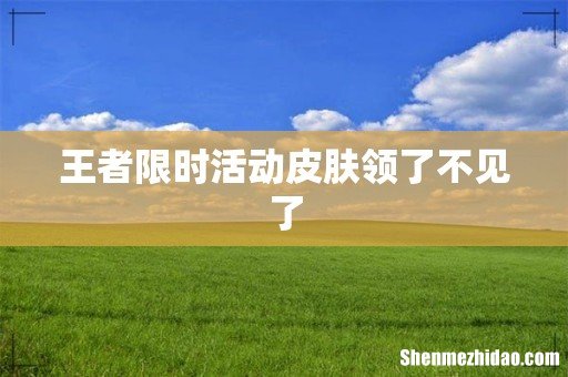 王者限时活动皮肤领了不见了