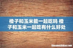 橙子和玉米能一起吃吗 橙子和玉米一起吃有什么好处