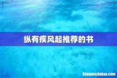 纵有疾风起推荐的书