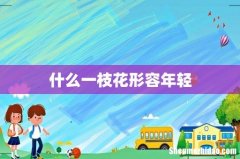 什么一枝花形容年轻