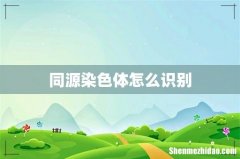 同源染色体怎么识别