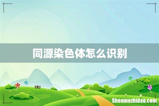 同源染色体怎么识别