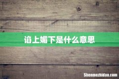 谄上媚下是什么意思