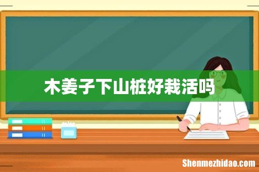 木姜子下山桩好栽活吗