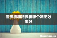 踏步机和跑步机哪个减肥效果好
