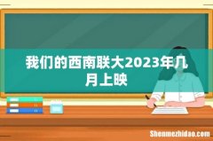 我们的西南联大2023年几月上映