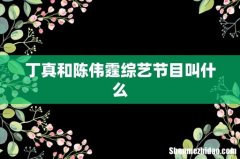丁真和陈伟霆综艺节目叫什么