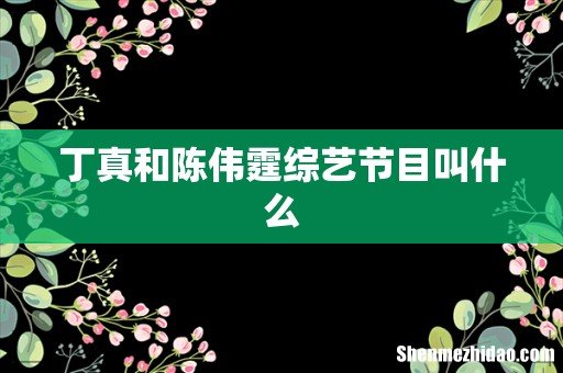 丁真和陈伟霆综艺节目叫什么