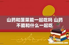 山药和菠菜能一起吃吗 山药不能和什么一起吃