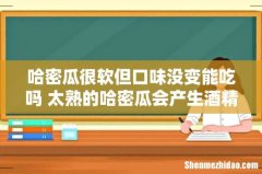 哈密瓜很软但口味没变能吃吗 太熟的哈密瓜会产生酒精吗